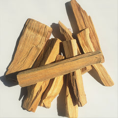 Palo Santo - Sticks