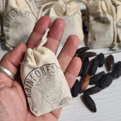 Little Bags of Tonka Beans - Cumaru Seeds