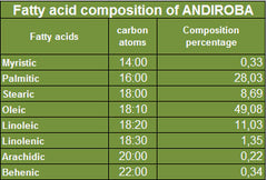 Andiroba Oil - Rainforest Chica
 - 8