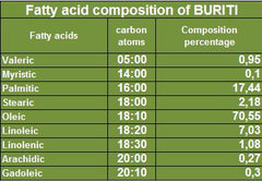 Buriti Oil - Rainforest Chica
 - 8